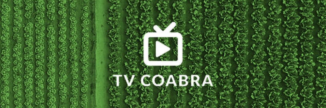 TV COABRA